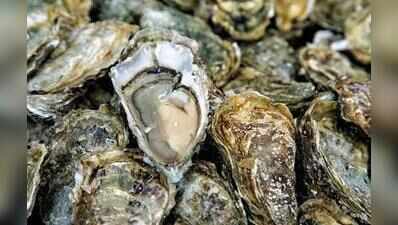 Betul fishermen seek clarity over cadmium contamination in oysters