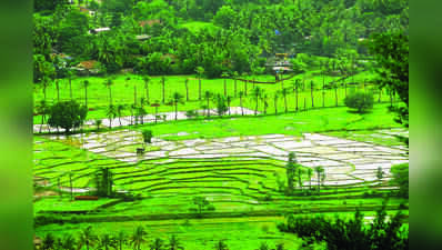 31,222 sqm cleared for zoning changes under Section 39A, 87% concentrated in Morjim