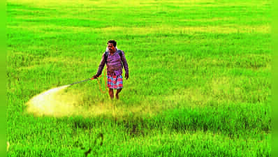 Telangana records the highest number of fruit and vegetable samples in India with pesticide residues