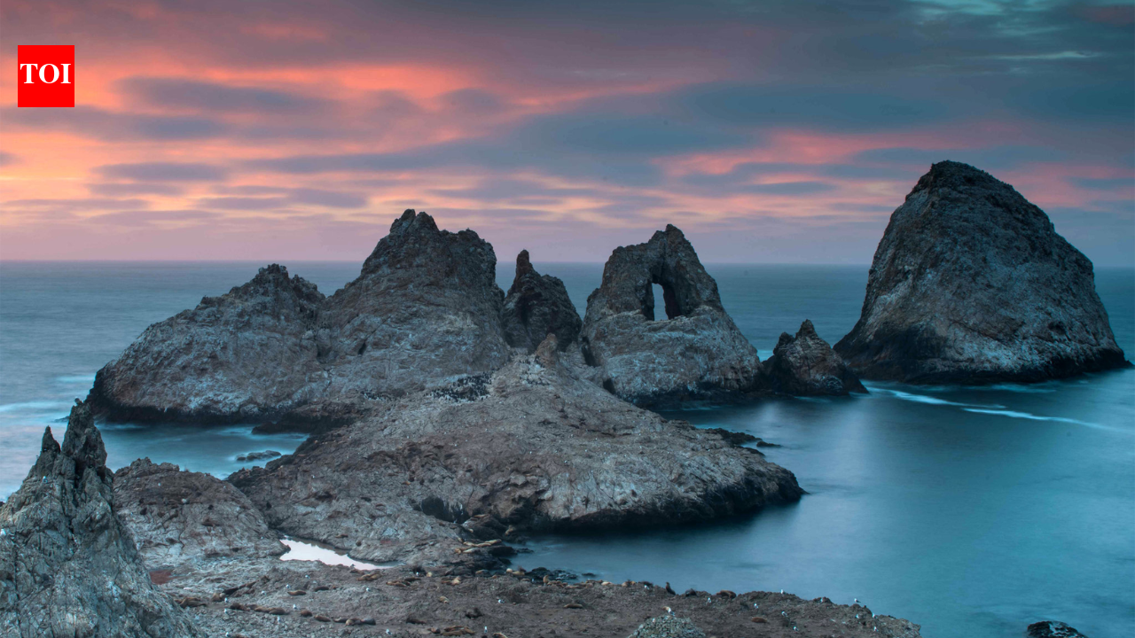 19th-century ships accidentally brought mice to islands 30 miles off San Francisco