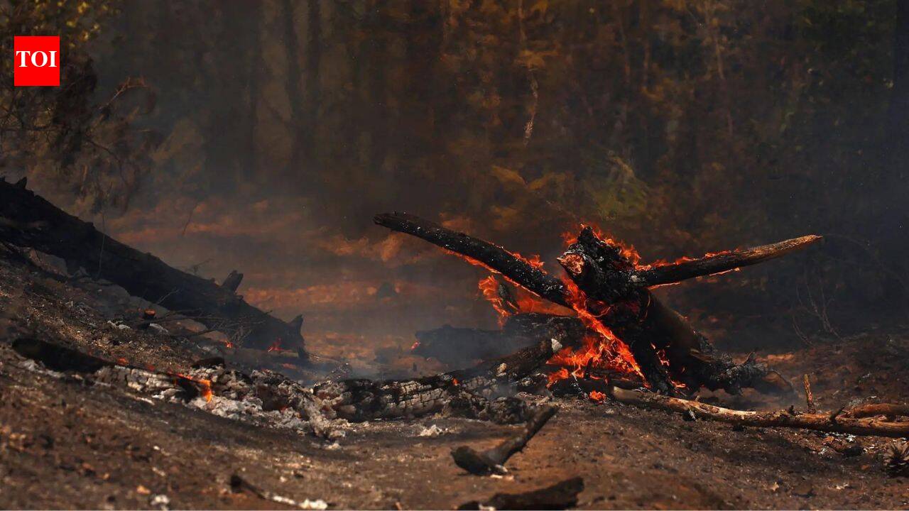 One week of extreme heat in Europe linked to 16,000 excess deaths: Report