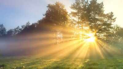 Why morning sunlight is important for your body; here's all you need to know