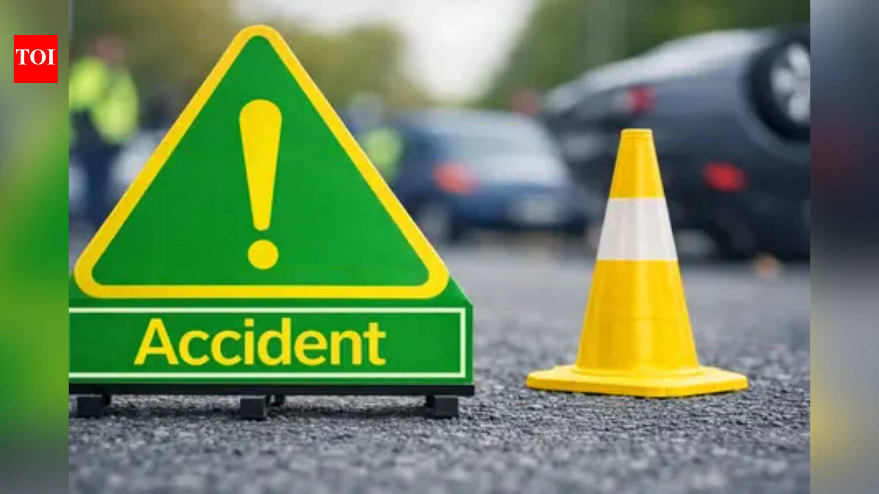 Hungary bus crash: 12 killed, 10 injured after Polish bus overturns on M3 motorway