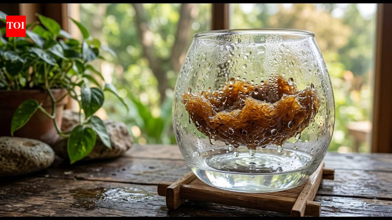 University of Texas researchers turn everyday biomass into a machine that makes water from air