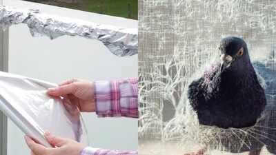 <b>Can aluminium foil keep pigeons away? Here's what to know about the balcony hack</b>