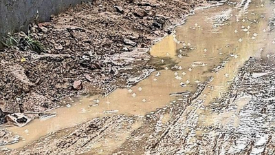 Punjab and Haryana HC asks govt to frame timeline, SOP for clearing debris after civic work