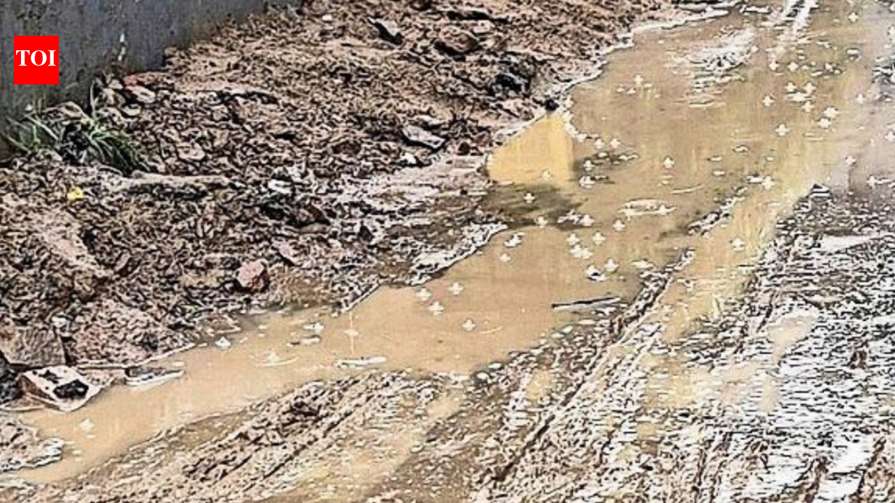 Punjab and Haryana HC asks govt to frame timeline, SOP for clearing debris after civic work