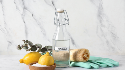 Lemon, eucalyptus and vinegar: DIY organic floor cleaner that you can make with 3 easy ingredients in your kitchen