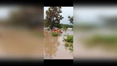 Farmer couple climb tree to evade flood, rescuer bitten by snake