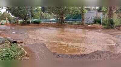 Bengaluru’s Gunjur residents: Fix our roads or lose 1k votes