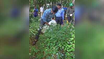 Green army grows: Stars, students & more join park clean-up, plantation drives