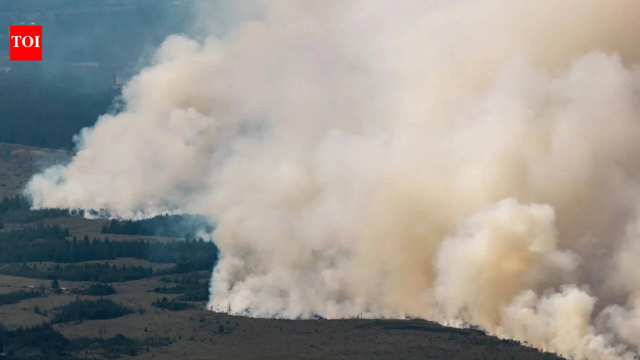 3,000 hectares up in flames: Belgium battles its biggest wildfire on record