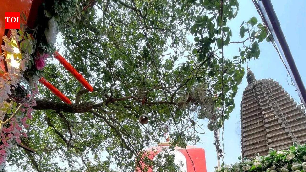 Sheetla Dham Corridor planned on lines of Kashi, Vindhyachal