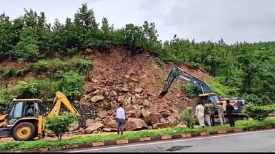 Twin landslides on NH-49 disrupts traffic