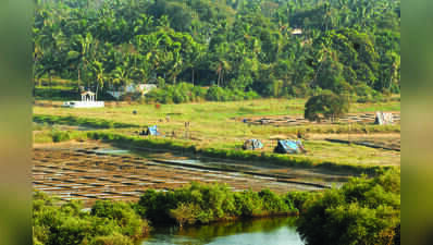 Mining company rapidly acquiring village land, allege Surla locals