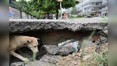 Dotted with condos, but Sector 150 pockmarked with broken roads, potholes, garbage heaps