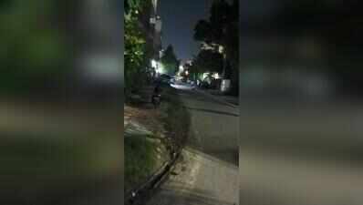 Dead in some Greater Noida sectors, streetlights stay on through the day in others