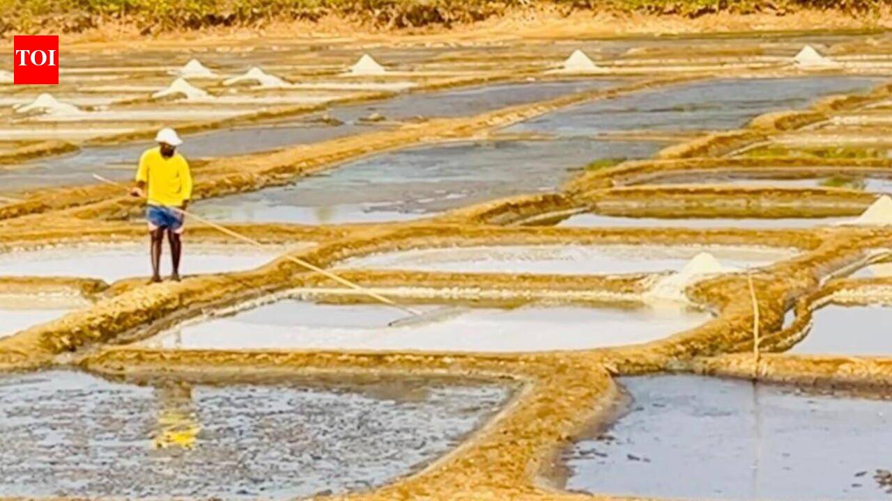 Young Batim woman helps save Goa's fading salt pans