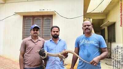 Monitor lizard rescued from house in Achampet