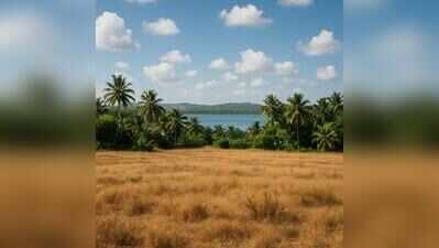 Over 23 lakh sq m across Goa moved to non-developable status under Section 39A
