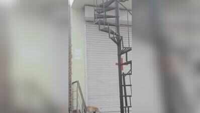 JDA asks residents to join PIL over high-tension line encroachments