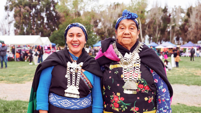 In 1993, Chile adopted an Indigenous Law that enabled land restitution; by 2023 more than 510,000 acres had been returned to Mapuche communities, but native forest cover had barely changed