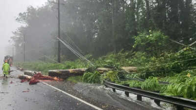 Tropical Storm Lala moves away from Hawaii, leaves trail of damage and lakhs without power