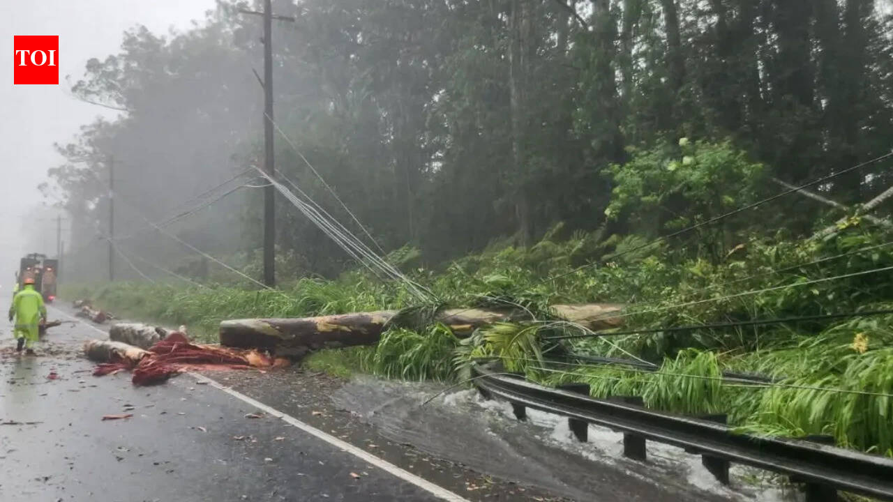 Tropical Storm Lala moves away from Hawaii, leaves trail of damage and lakhs without power