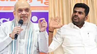 Amit Shah asked me to move to Delhi, take up responsibility for 3 years: K Annamalai