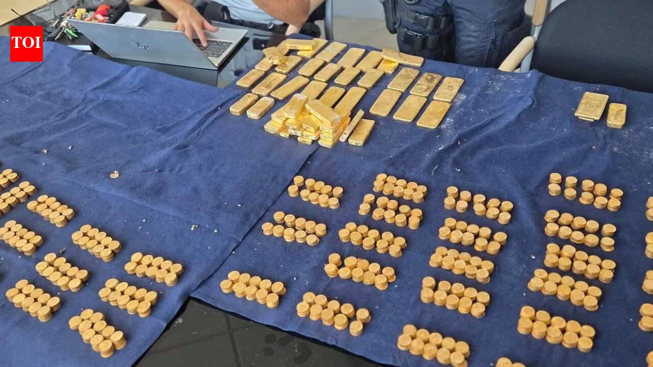Belgian student in construction job uncovers €9m gold treasure while digging sewer trench