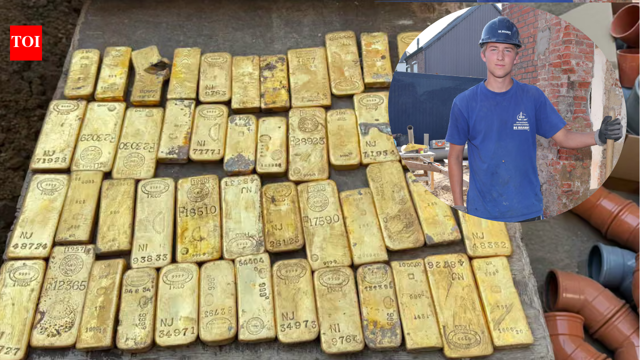 18-year-old Belgian thought he found €1; then uncovered €9m in gold