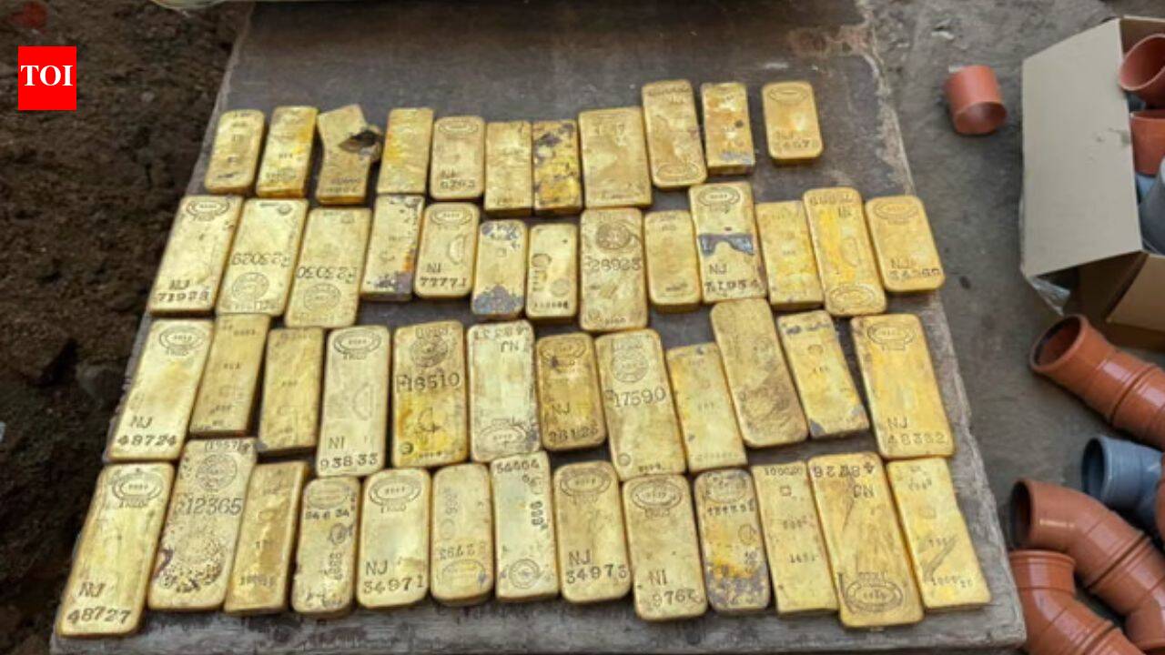 Belgian student finds €9 million gold stash while digging a sewer
