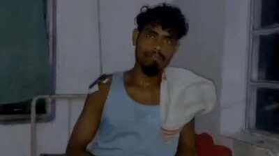 2 leopard attacks in a day scare Tingkhong tea garden workers, 1 injured