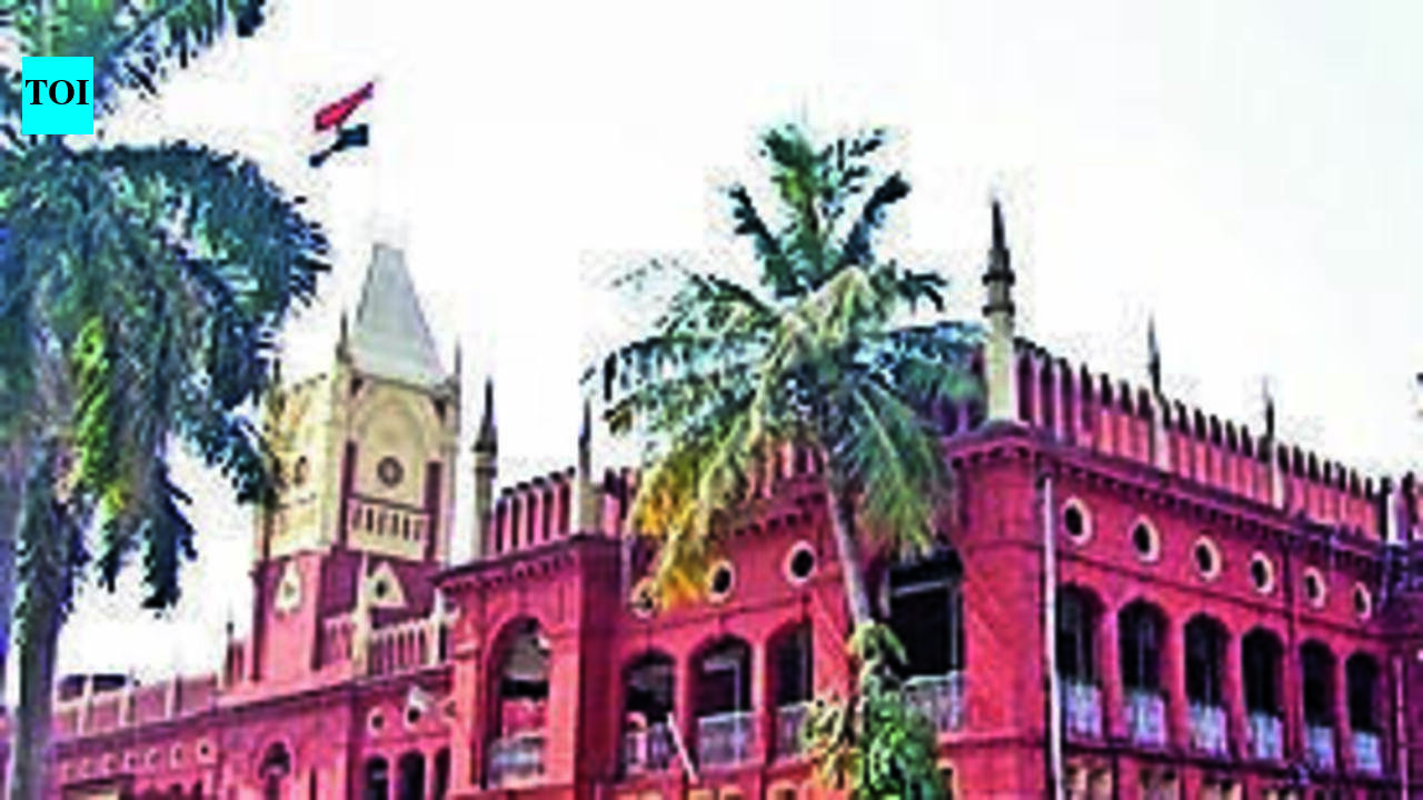 HC seeks verification of alleged forged documents in PIL
