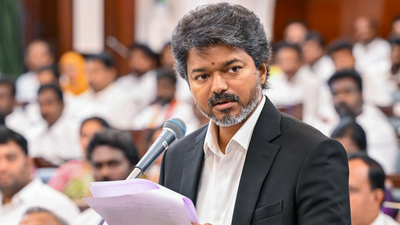 100 days of TVK government: CM Vijay defines priorities, but his real test begins now