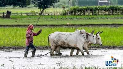 Jalaun’s transformation: From a Bundelkhand backwater to an emerging economic and industrial hub