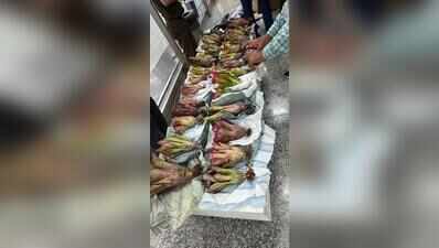 160 kg plants, seeds seized from 2 flyers at airport