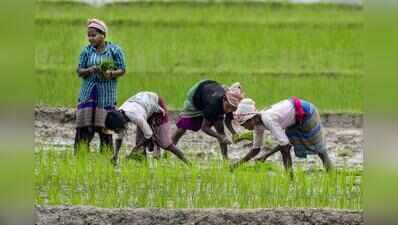 Hotline help for allay farmers’ concerns over power transmission corridor