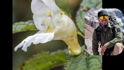 Meet the new Himalayan plant named after the legendary mountaineer Nirmal Purja: Nimsdai’s legacy blooms in the Himalayas at 2,900 metres