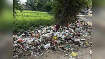 Garbage piles up as door-to-door collection falters in Shyam Vatika