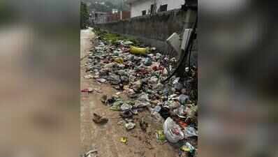 Garbage piles up as door-to-door collection falters in Shyam Vatika