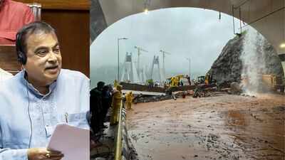 'Trolled for damage on road I didn't build': Nitin Gadkari on Pune-Mumbai expressway connecting link