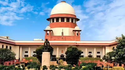 14 of 28 chief ministers face serious criminal cases, Supreme Court told
