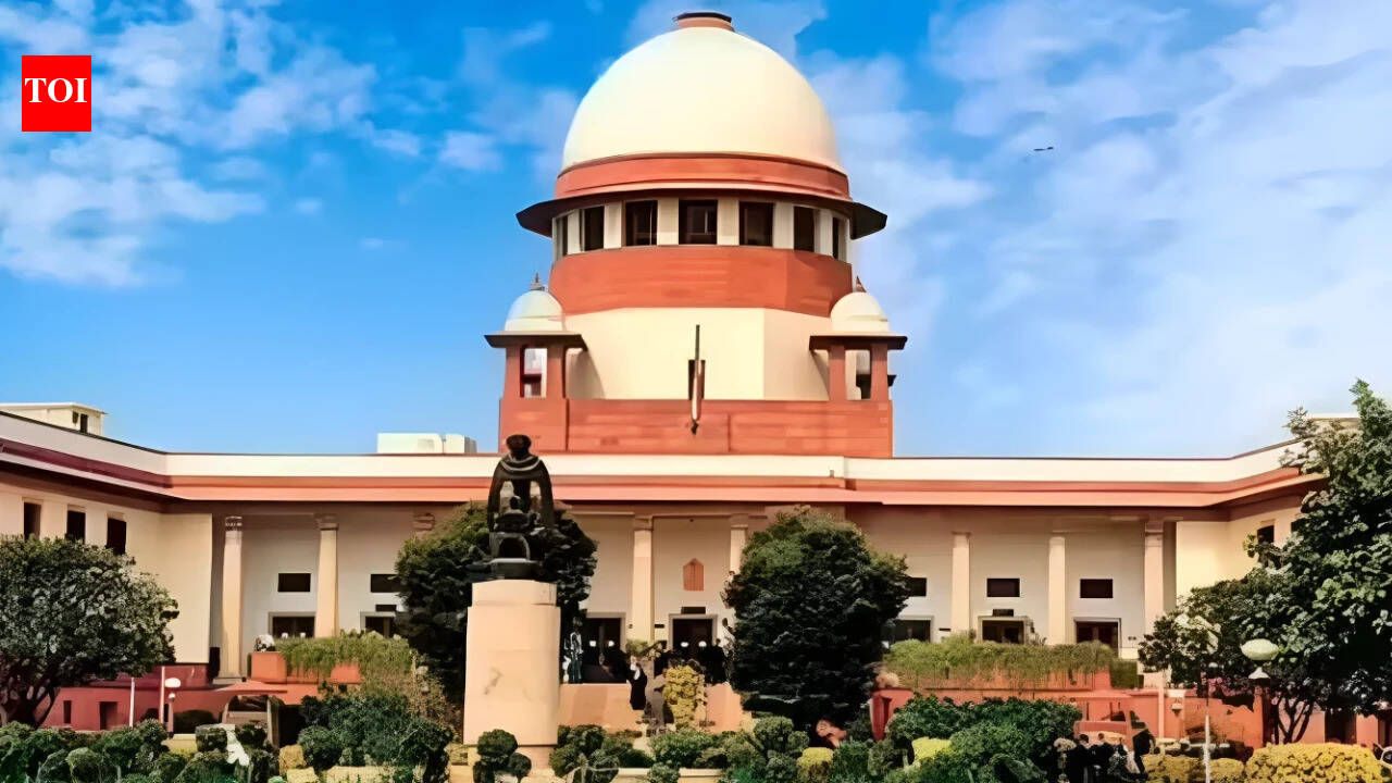 14 of 28 CMs face serious criminal cases, SC told