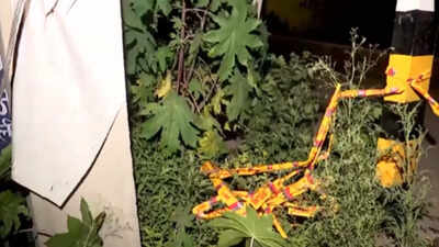 Delhi man kills 17-year-old cousin, dumps body in suitcase; held after tip-off