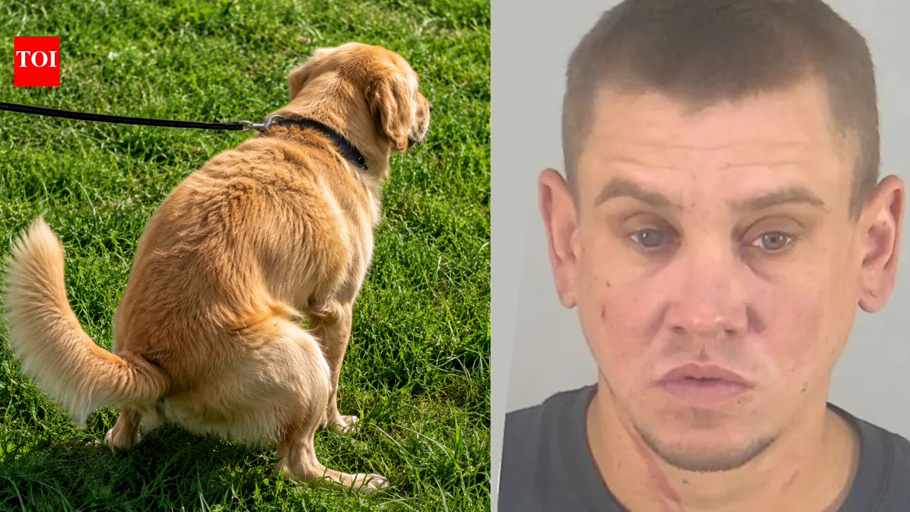 Florida man arrested after throwing dog poop at neighbour over uncleared mess