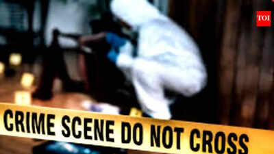 Rajasthan man shoots wife dead, son beats him to death