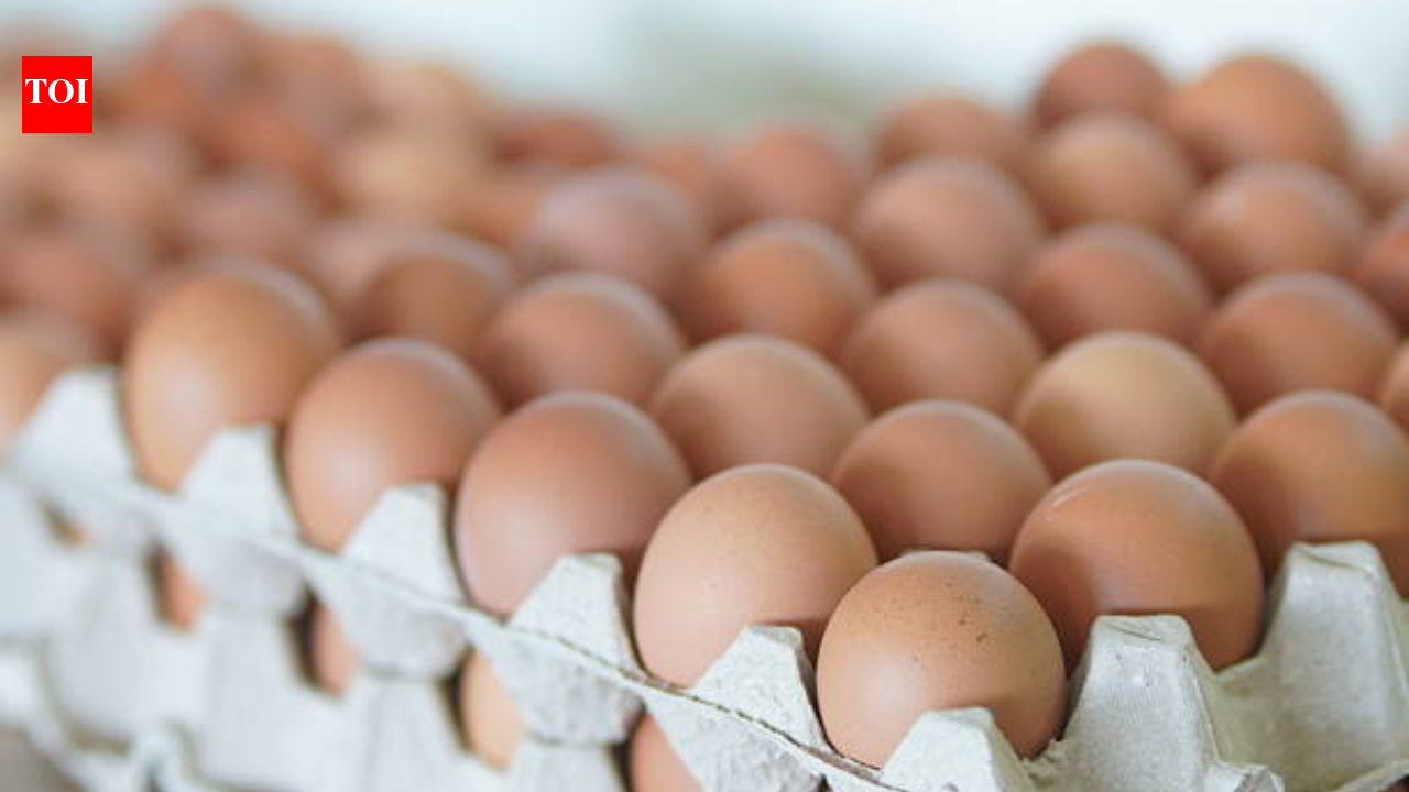 One dead, over 200 ill in UK Salmonella outbreak: Symptoms, cause and all you need to know