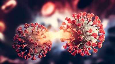Could Covid-19 wake up old viruses hiding in our body? Here's what scientists found
