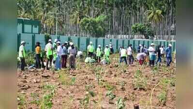 Bengaluru’s 15-lakh sapling Guinness bid cost Rs 12.5 crore
